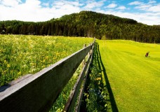 Golfreisen Seefeld - Kaltschmid Hotels Tirol